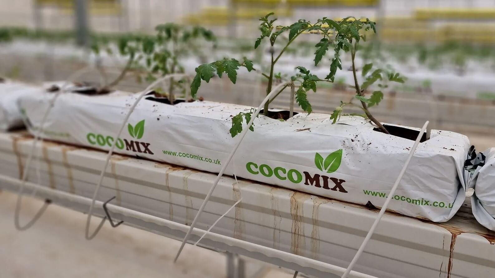 cocomix sustrato|cocomix sustrato|cocomix sustrato